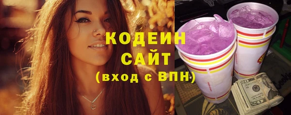 гидра Снежногорск