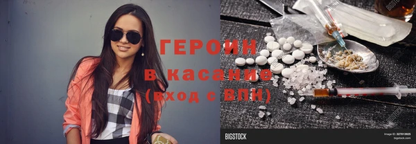 гидра Снежногорск