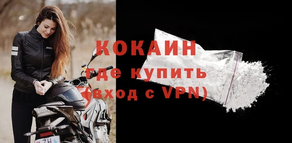 гидра Снежногорск