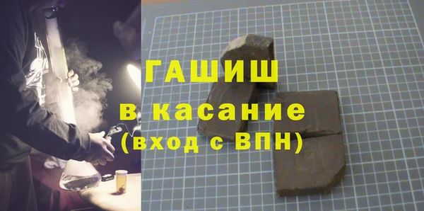 гидра Снежногорск