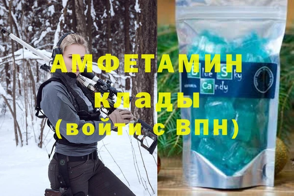 гидра Снежногорск
